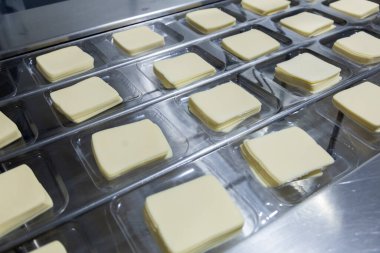 Mozzarella peynir fabrikası. Mozzarella peynir endüstrisindeki sahneler - endüstriyel kompleks. 