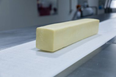 Mozzarella peynir fabrikası. Mozzarella peynir endüstrisindeki sahneler - endüstriyel kompleks. 