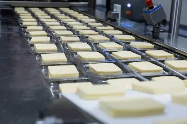 Mozzarella peynir fabrikası. Mozzarella peynir endüstrisindeki sahneler - endüstriyel kompleks. 