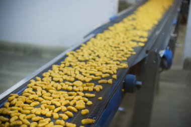 Gıda fabrikasında üretilmiş tavuk üretim hattı endüstriyel gıda işleme tesisinde otomatik taşıma bandı sistemi.