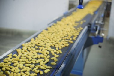 Gıda fabrikasında üretilmiş tavuk üretim hattı endüstriyel gıda işleme tesisinde otomatik taşıma bandı sistemi.