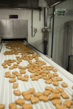 Gıda fabrikasında üretilmiş tavuk üretim hattı endüstriyel gıda işleme tesisinde otomatik taşıma bandı sistemi.
