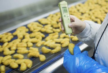 Gıda fabrikasında üretilmiş tavuk üretim hattı endüstriyel gıda işleme tesisinde otomatik taşıma bandı sistemi.