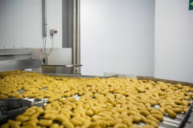 Gıda fabrikasında üretilmiş tavuk üretim hattı endüstriyel gıda işleme tesisinde otomatik taşıma bandı sistemi.