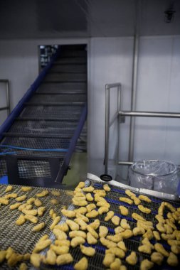 Gıda fabrikasında üretilmiş tavuk üretim hattı endüstriyel gıda işleme tesisinde otomatik taşıma bandı sistemi.