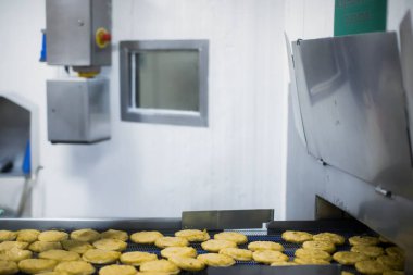 Gıda fabrikasında üretilmiş tavuk üretim hattı endüstriyel gıda işleme tesisinde otomatik taşıma bandı sistemi.
