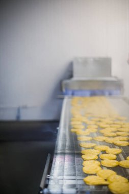 Gıda fabrikasında üretilmiş tavuk üretim hattı endüstriyel gıda işleme tesisinde otomatik taşıma bandı sistemi.