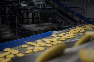 Gıda fabrikasında üretilmiş tavuk üretim hattı endüstriyel gıda işleme tesisinde otomatik taşıma bandı sistemi.