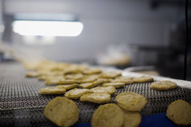 Gıda fabrikasında üretilmiş tavuk üretim hattı endüstriyel gıda işleme tesisinde otomatik taşıma bandı sistemi.