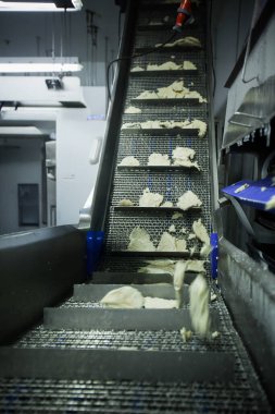 Gıda fabrikasında üretilmiş tavuk üretim hattı endüstriyel gıda işleme tesisinde otomatik taşıma bandı sistemi.