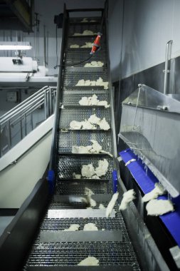 Gıda fabrikasında üretilmiş tavuk üretim hattı endüstriyel gıda işleme tesisinde otomatik taşıma bandı sistemi.
