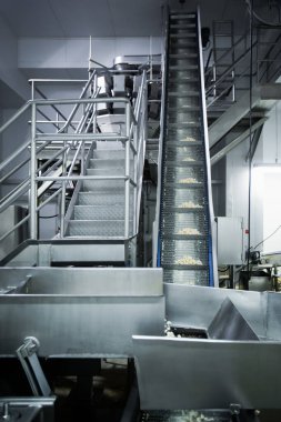 Gıda fabrikasında üretilmiş tavuk üretim hattı endüstriyel gıda işleme tesisinde otomatik taşıma bandı sistemi.