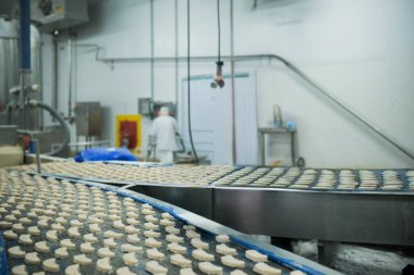 Gıda fabrikasında üretilmiş tavuk üretim hattı endüstriyel gıda işleme tesisinde otomatik taşıma bandı sistemi.