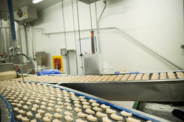 Gıda fabrikasında üretilmiş tavuk üretim hattı endüstriyel gıda işleme tesisinde otomatik taşıma bandı sistemi.