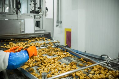 Gıda fabrikasında üretilmiş tavuk üretim hattı endüstriyel gıda işleme tesisinde otomatik taşıma bandı sistemi.