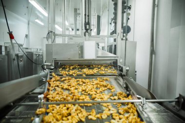 Gıda fabrikasında üretilmiş tavuk üretim hattı endüstriyel gıda işleme tesisinde otomatik taşıma bandı sistemi.