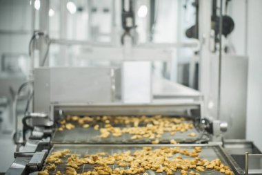 Gıda fabrikasında üretilmiş tavuk üretim hattı endüstriyel gıda işleme tesisinde otomatik taşıma bandı sistemi.