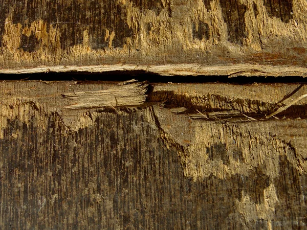 Kırık portakal ahşap dokusu ve kabartmalar