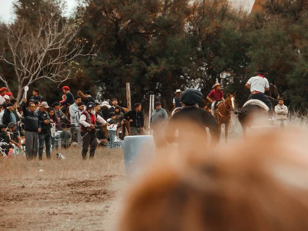 Atlar açık alanda hemşerilerle yarışıyor.