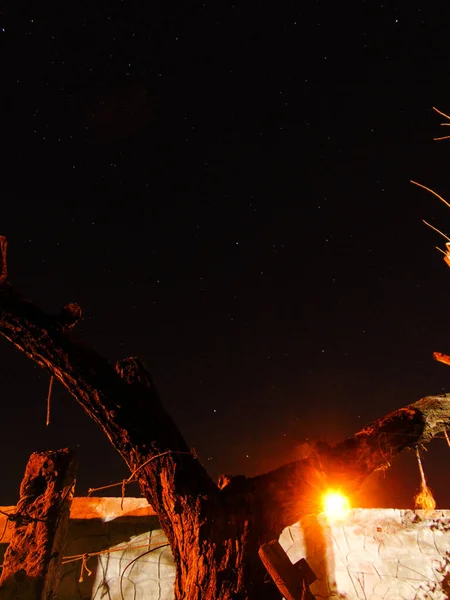 Yıldızlar ve şehir ağacıyla gökyüzü.