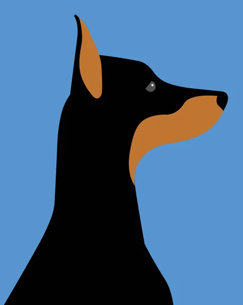 Ilustracja Czarnego Psa Dobermana — Zdjęcie stockowe