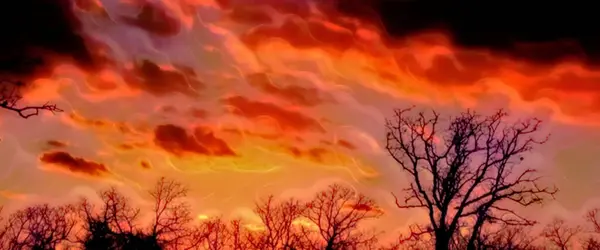 Gece ormanında kırmızı ateş