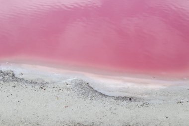 Las Coloradas, Meksika, 17 yaşında. Nisan 2023: Meksika 'da Las Coloradas' ın pembe gölünün kumlu plajı. Beta-carotin üreten mikroorganizmalar yüzünden.