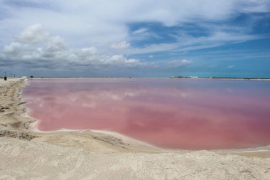 Las Coloradas, Meksika, 17 yaşında. Nisan 2023: Meksika 'da Las Coloradas' ın pembe gölünün kumlu plajı. Beta-carotin üreten mikroorganizmalar yüzünden.