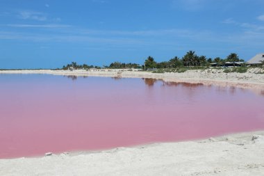Las Coloradas, Meksika, 17 yaşında. Nisan 2023: Meksika 'da Las Coloradas' ın pembe gölünün kumlu plajı. Beta-carotin üreten mikroorganizmalar yüzünden.