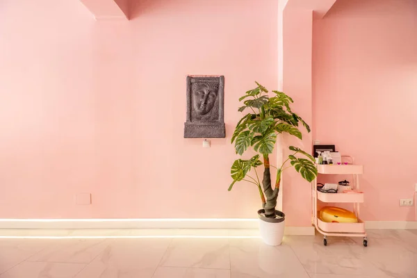 Красивий Салон Блискучими Мармуровими Підлогами Гарячі Рожеві Стіни Штучні Декоративні — стокове фото