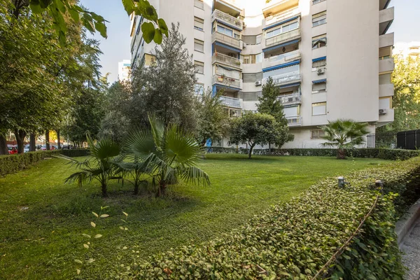 stock image Garden area with hedges and palms at the foot of some buildings with terraces with blue awnings