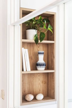 Küçük bir meşe rafı dekoratif nesneler ve iç dekoratif bitkilerle dolu bir duvardaki oyuğa entegre edilmiş.