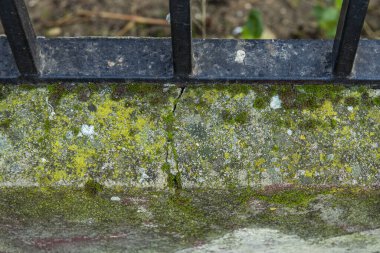 Stone curb with a layer of verdin and a black metal railing