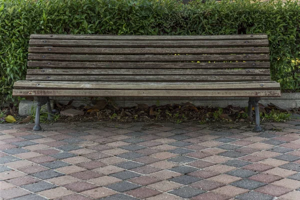 Wooden bench of a municipal garden with hedges and concrete tiled floors of various colors