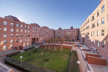 Inner courtyard of a block with hedges, gardens and trees in an urban residential housing development