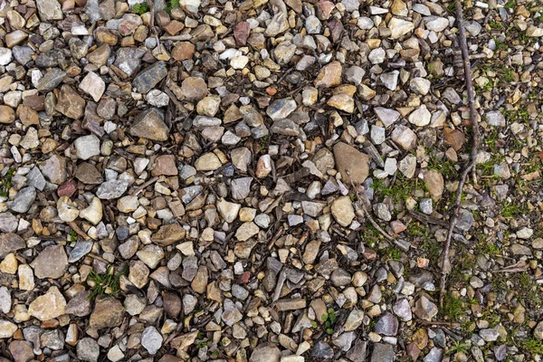 ground covered with stones and sticks in the field. Vector stone texture background