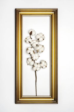 A cotton branch with white buds framed with a gilded wooden frame