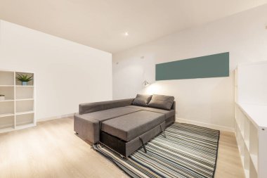 Apartment with empty white wooden divider shelves, gray fabric sofa with chaise longue and extended bed and jarapa rug