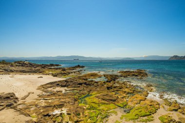 La Ria de Vigo 'da bir sahil. Bir sürü kaya ve yosun var. Dalgalar alçak, güneşli bir yaz günü.
