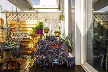 Teras katında yeni sulanmış süsleme bitkileri olan bir daire.