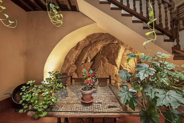 stock image Houseplants in a house with a wooden staircase and a rock wall