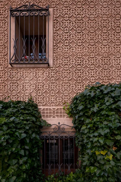 Mur Décoré Bas Reliefs Fenêtres Avec Bars Vignes Touffues — Photo