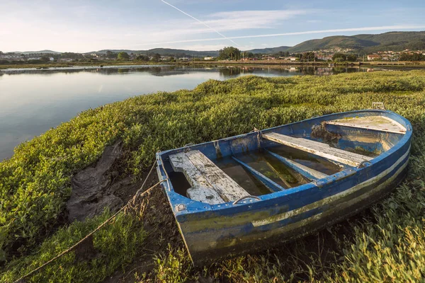 A beached blue sailor\'s raft drenched with water and damaged wood among the shoreline plants next to a cove at dawn