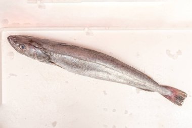 Tüm hake çeşitleri, bulundukları ülkelerde hem iç tüketim hem de dünyanın geri kalanına ihracat için bir balıkçılık kaynağı olarak kullanılmaktadır.