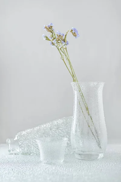 Natureza Morta Com Vasos Vidro Transparentes Ramos Secos Com Flores — Fotografia de Stock