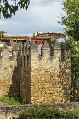 İspanya 'nın Cordoba şehrinin güney duvarında siperler ve yapraklı bitkiler var.