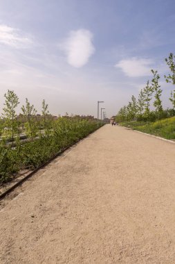 Her iki tarafında genç ağaçlar ve bitkiler olan bir şehir parkında kumlu bir patika.