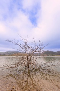 Dağlar arasında, yaprakları olmayan bir ağaç ve bulutlarla dolu bir göl manzarası.