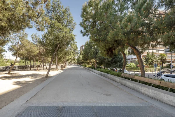 Ağaçlı bir şehir parkı manzarası, Madrid 'de Calle 30' da bir koşu pisti