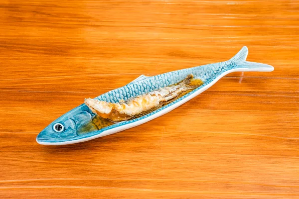 常见的沙丁鱼是球状鱼类科的一种 牠们是牠们属中唯一的物种 它与凤尾鱼和鲱鱼密切相关 — 图库照片